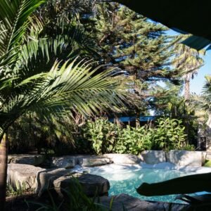 Jardín con palmeras y piscina en Chapadmalal